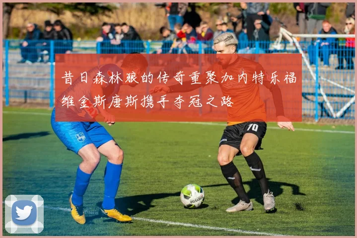 昔日森林狼的传奇重聚加内特乐福维金斯唐斯携手夺冠之路